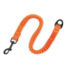 Extensor de Guia Truelove® Bungee | Para Cachorro