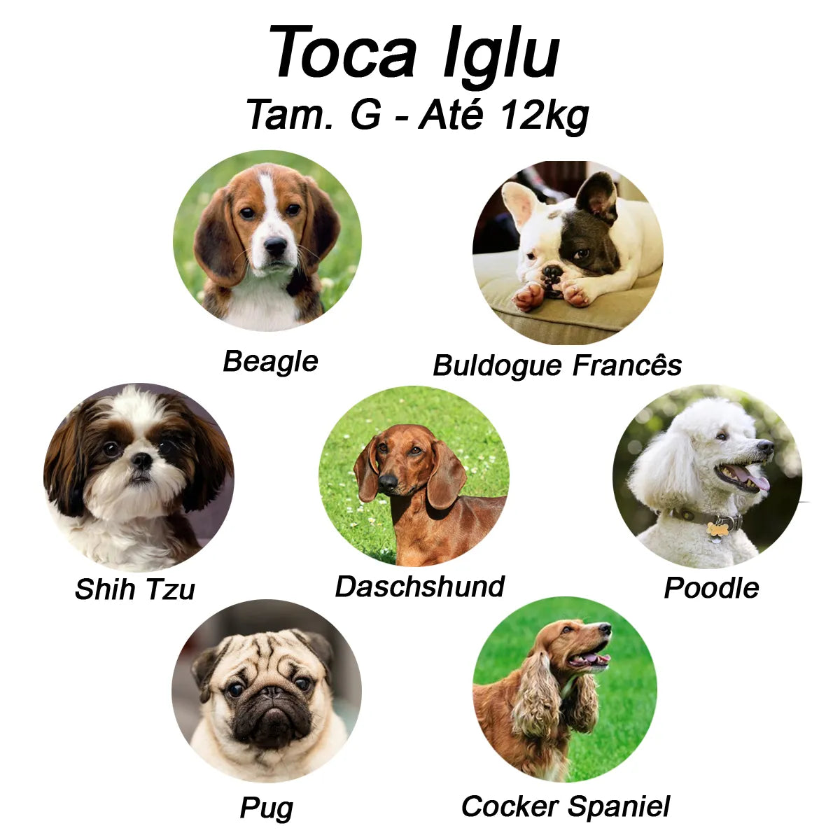 Toca para Cachorro e Gato Iglu Impermeável | Toca Luppet Draw™