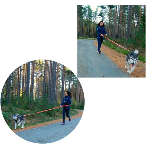 Guia Truelove® Running | Para Cachorro