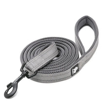 Guia para Cachorro Refletiva e Macia  | Truelove® Confort