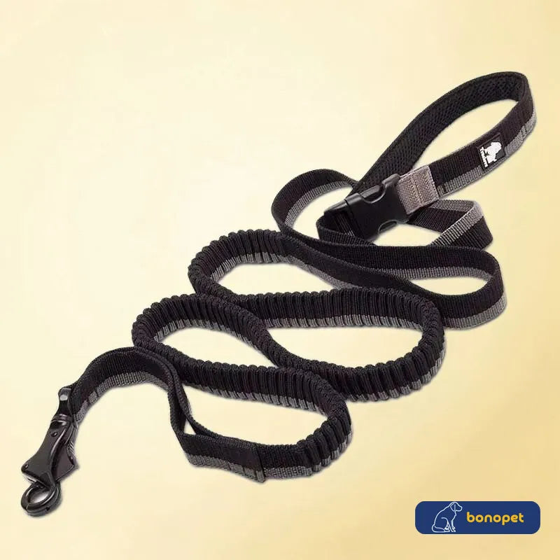 Guia Truelove® Running | Para Cachorro