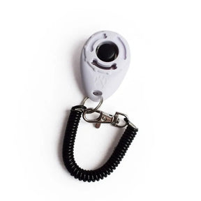 Clicker Colors™ | Para Adestramento