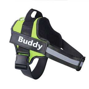 Peitoral para Cachorro Personalizável | CustomDog™