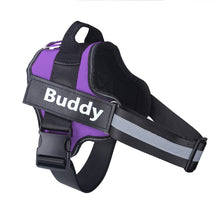 Peitoral para Cachorro Personalizável | CustomDog™