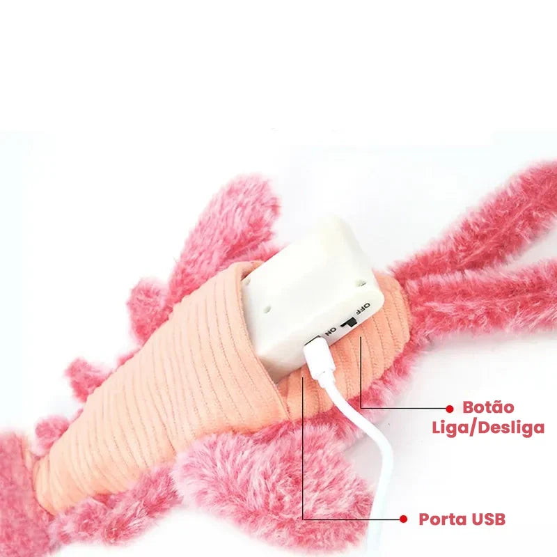Brinquedo Lagostinha™ | Para Cachorro e Gato