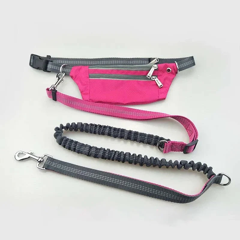 Guia ActiveFit™ | Para Cachorro