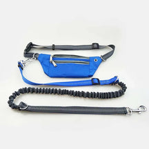 Guia ActiveFit™ | Para Cachorro