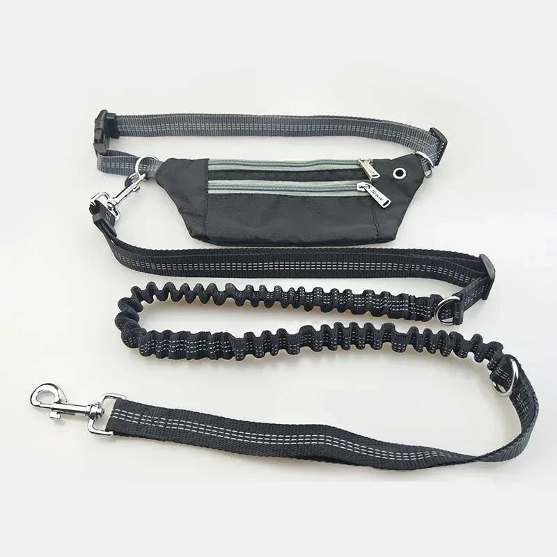 Guia ActiveFit™ | Para Cachorro