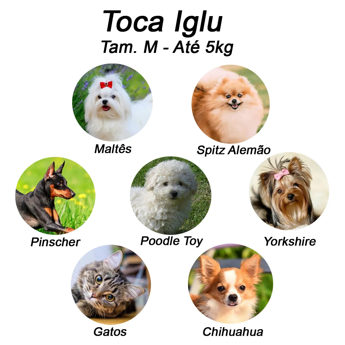 Toca para Cachorro e Gato Iglu Impermeável | Toca Luppet Oncinha Pink™