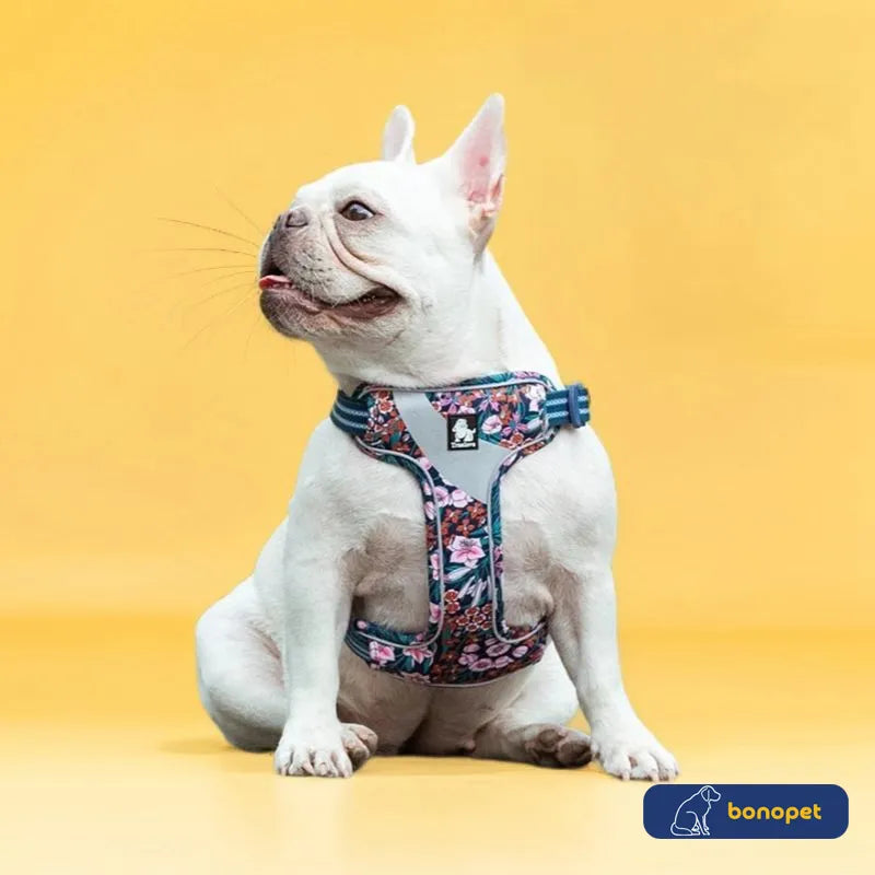 Peitoral Truelove® Stamp H | Para Cachorro