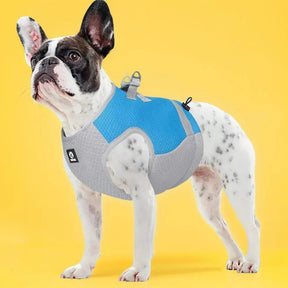 Peitoral para Cachorro Refrescante | Peitoral IcePet™