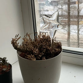 Regador de Plantas Automático Com Sistema de Gotejamento - Minz