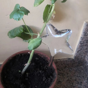 Regador de Plantas Automático Com Sistema de Gotejamento - Minz