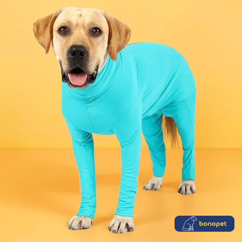 Roupinha Cirúrgica PetHealth™ | Para Cachorro e Gato