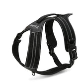 Peitoral Truelove® Sport | Para Cachorro