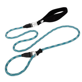 Guia Truelove® Training | Para Cachorro