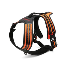 Peitoral Truelove® Sport | Para Cachorro
