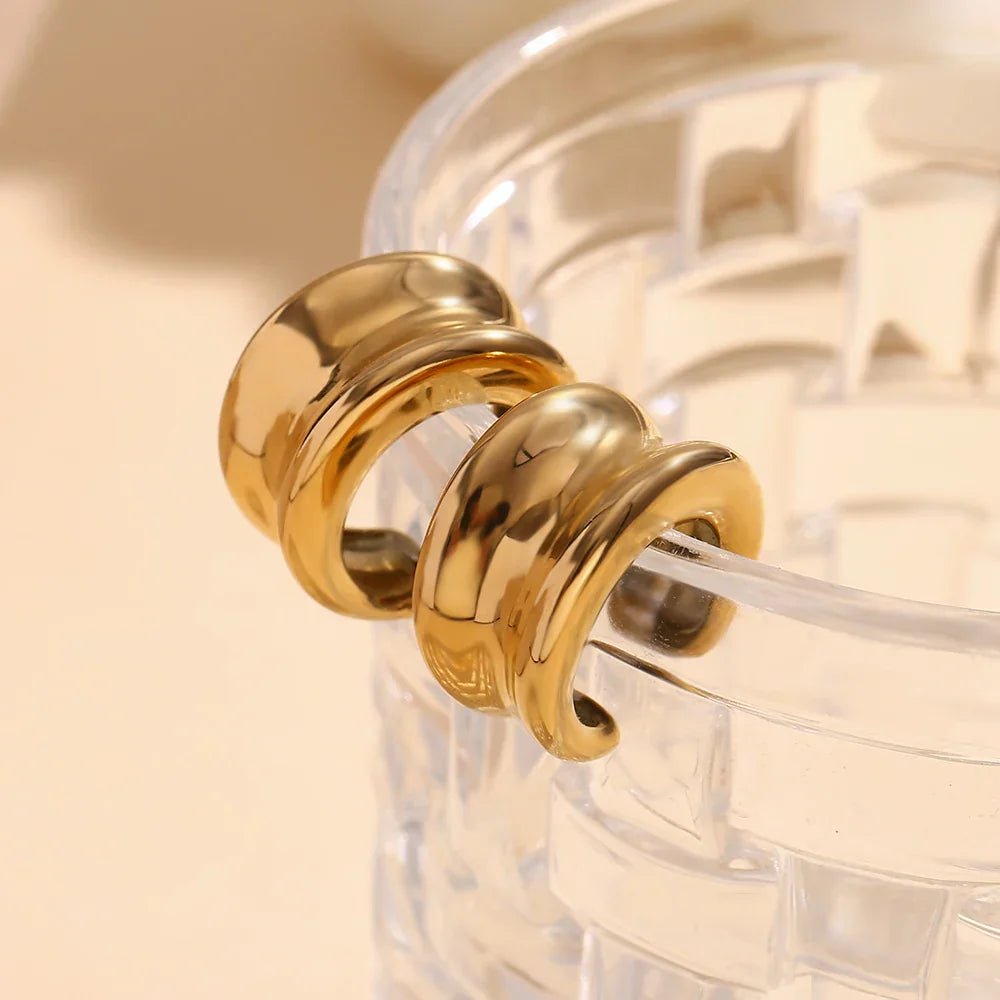 Brincos de Ouro 18K com Design Elegante