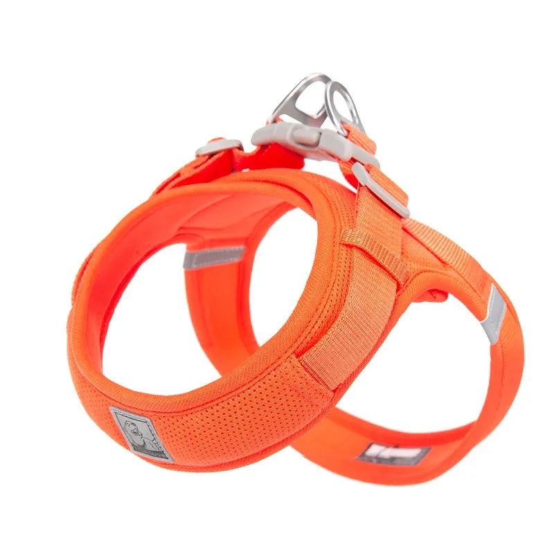 Peitoral para Cachorro com tecnologia Power Webbing®  | Truelove® Power Basic