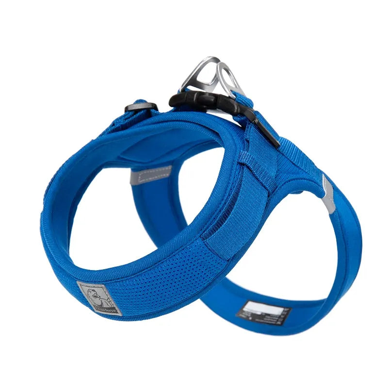 Peitoral para Cachorro com tecnologia Power Webbing®  | Truelove® Power Basic