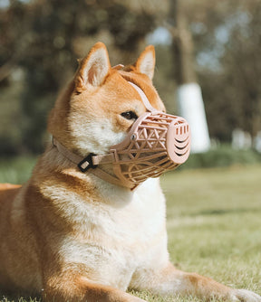 Focinheira para Cachorro Ajustável | Kimpets™