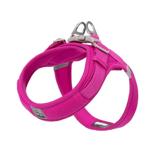 Peitoral para Cachorro com tecnologia Power Webbing®  | Truelove® Power Basic