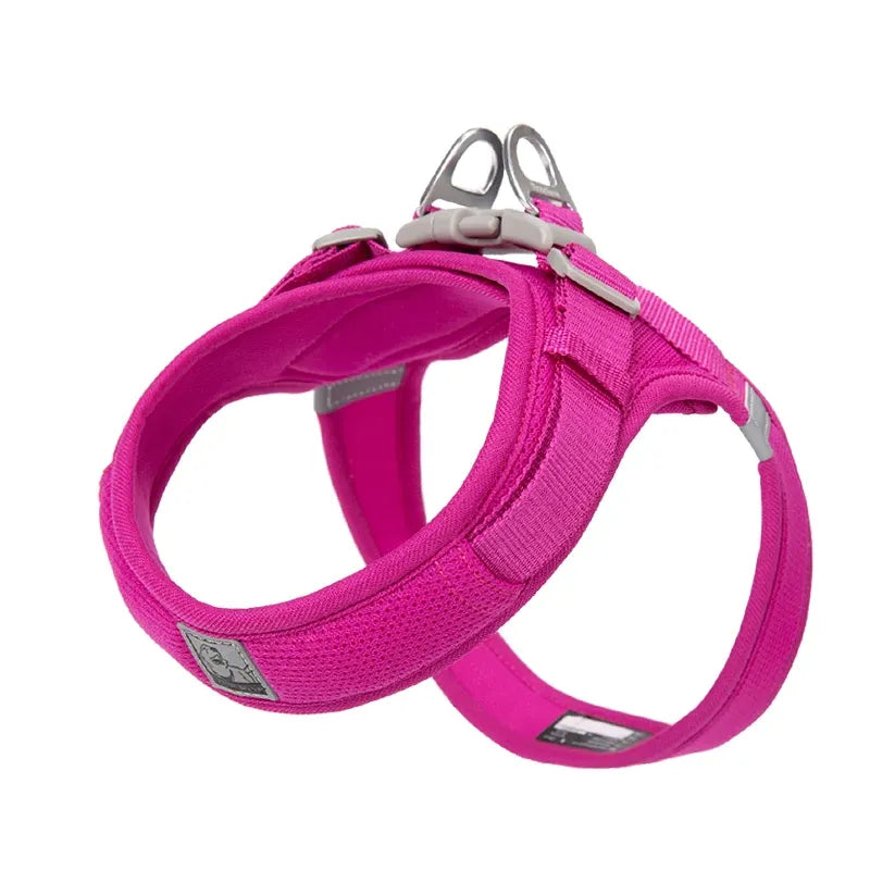 Peitoral para Cachorro com tecnologia Power Webbing®  | Truelove® Power Basic