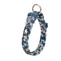 Coleira Truelove® Stamp | Para Cachorro