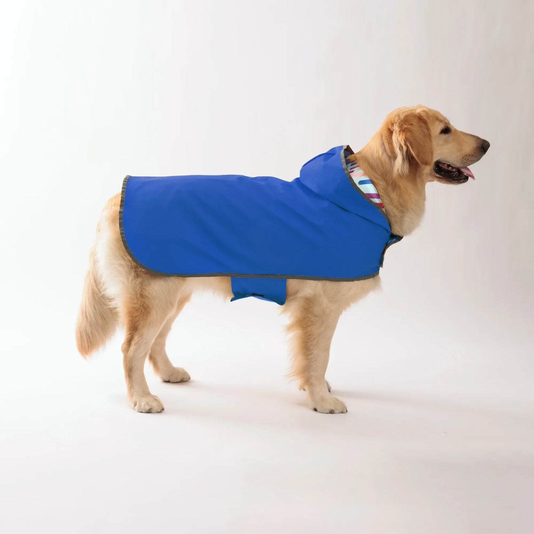 Capa de Chuva Pet Tale Dual™ | Para Cachorro