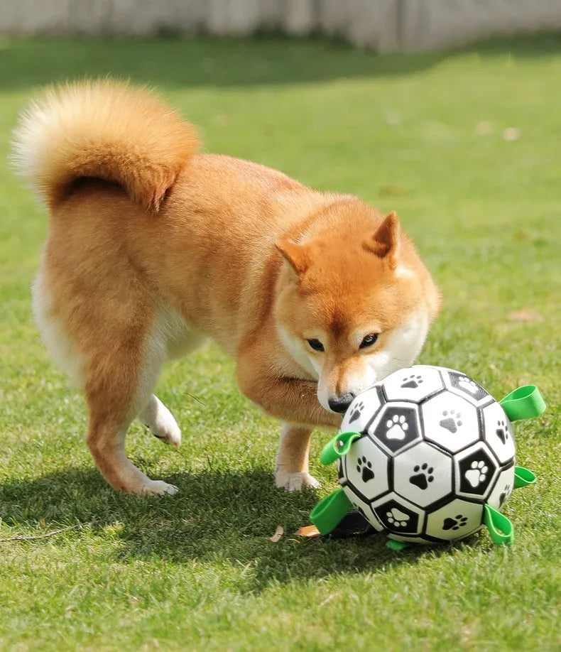 Bola FutDog™ | Para Cachorro