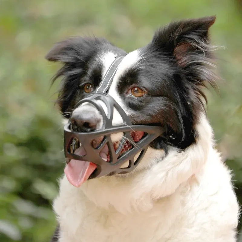Focinheira para cachorro com Excelente Ventilação | Basket™
