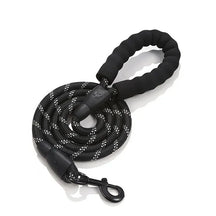 Guia NightSafe™ | Para Cachorro