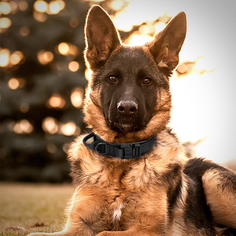 Coleira Militar Tática para Cachorro | Coleira Tática™ Adaptável