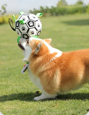 Bola FutDog™ | Para Cachorro
