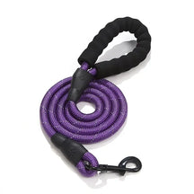 Guia NightSafe™ | Para Cachorro