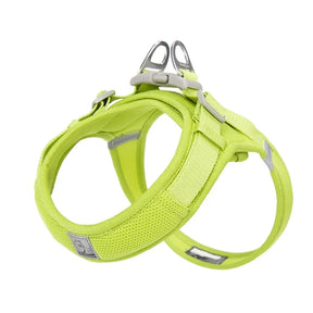 Peitoral para Cachorro com tecnologia Power Webbing®  | Truelove® Power Basic