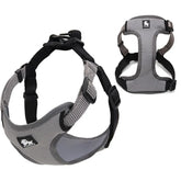 Peitoral Truelove® Adjust | Para Cachorro