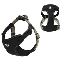 Peitoral Truelove® Adjust | Para Cachorro