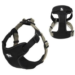 Peitoral Truelove® Adjust | Para Cachorro