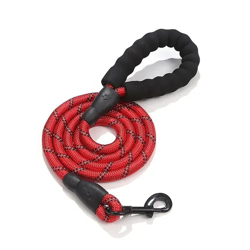 Guia NightSafe™ | Para Cachorro