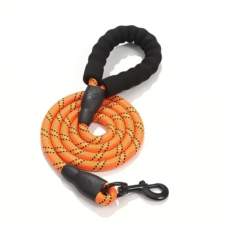 Guia NightSafe™ | Para Cachorro