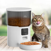 Ração Automática Para Cães e Gatos WiFi Smart Com Gravador De Voz