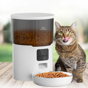 Ração Automática Para Cães e Gatos WiFi Smart Com Gravador De Voz