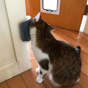 Escova com Catnip para Gatos