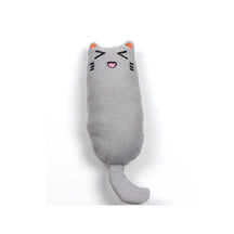 Pelúcia BrincGato com Catnip | Para Gato