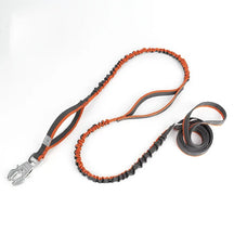 Guia Truelove® Whinhye Bungee Frog| Para Cachorro