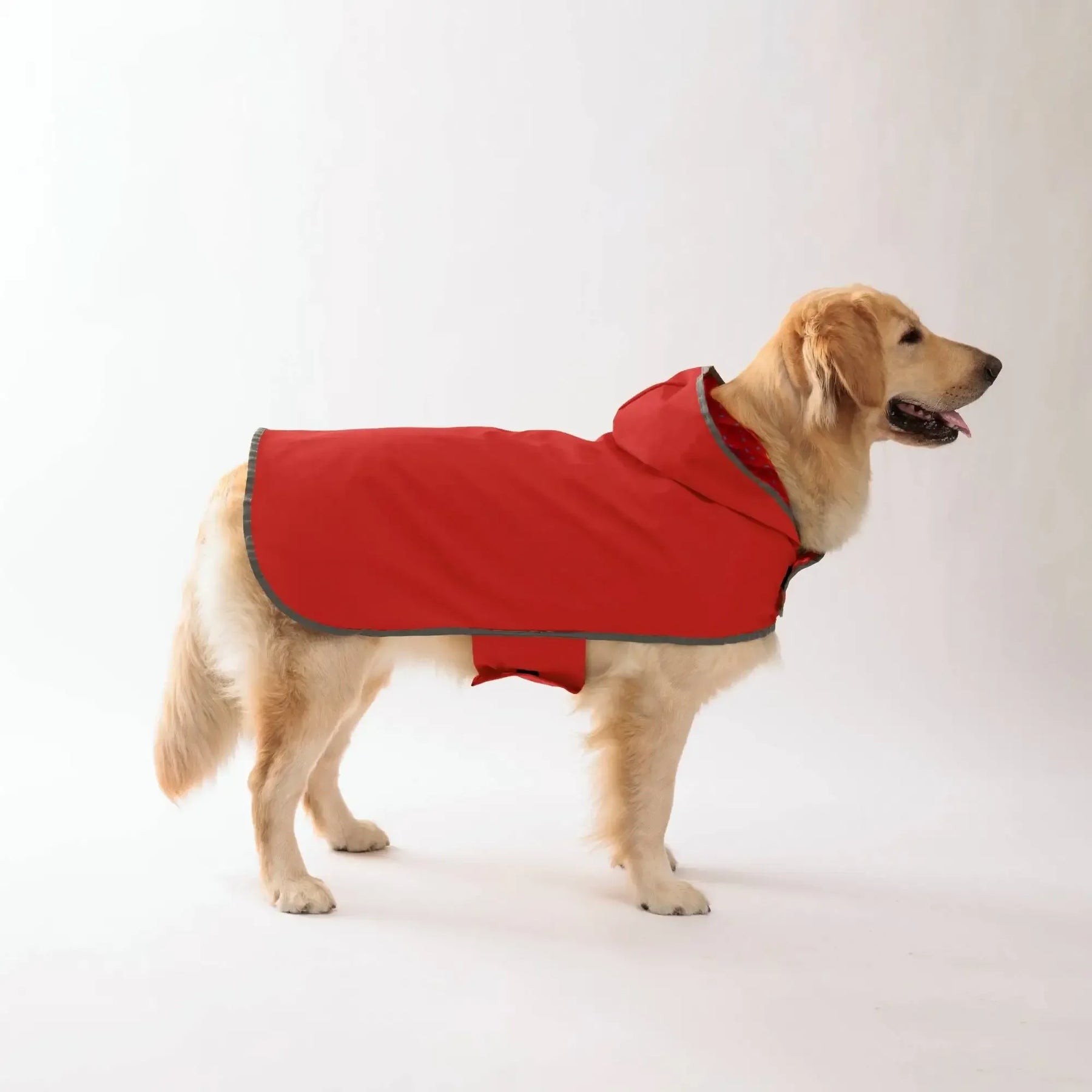 Capa de Chuva Pet Tale Dual™ | Para Cachorro