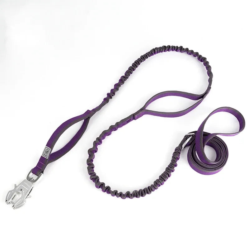 Guia Truelove® Whinhye Bungee Frog| Para Cachorro