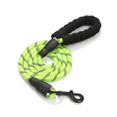 Guia NightSafe™ | Para Cachorro