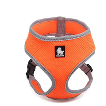 Peitoral Truelove® Soft |Para Cachorro e Gato
